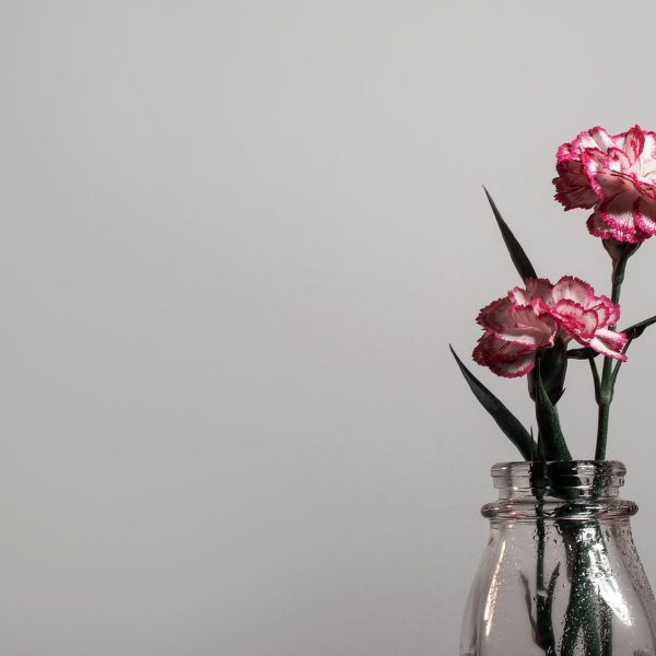 Artificial Plant with Vase and Pebbles