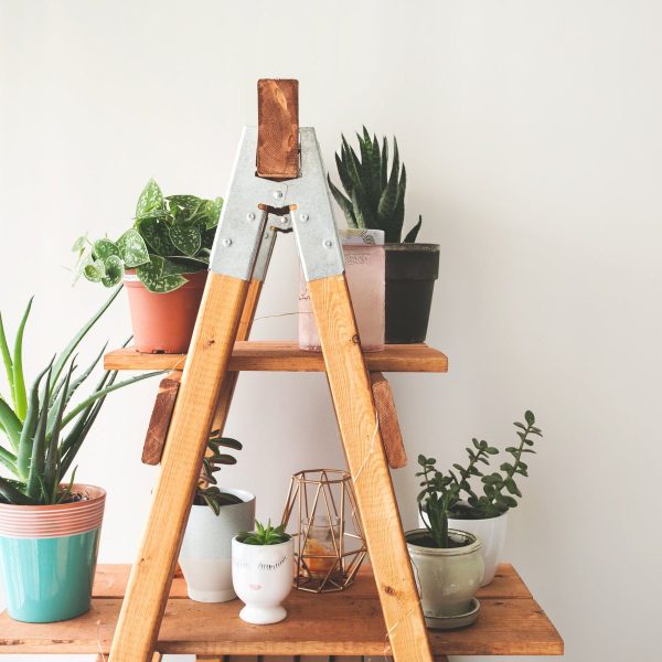 3-Tier Bamboo Shelf Organizer